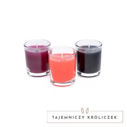 XR Brands Zestaw Aromatycznych Świec do Masażu 3 sztuki, niska temperatura topnienia XR Brands