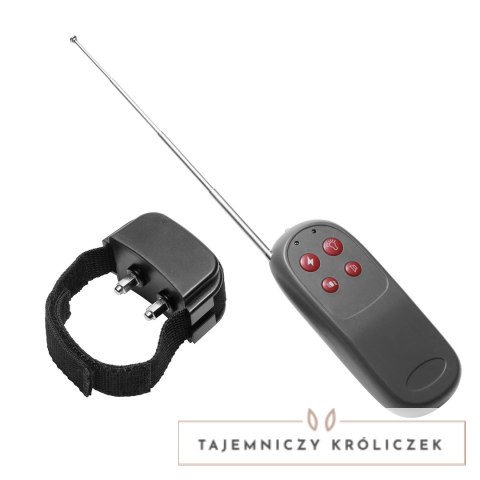 XR Brands Zeus Electrosex system z pilotem bezprzewodowym XR Brands