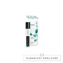 SHS Sexual Attraction Men 15 ml - Kompozycja Feromonow, Świeży Zapach SHS