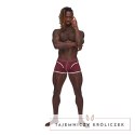 Male Power Sport Mini Short szorty męskie z elastycznej siatki M Male Power