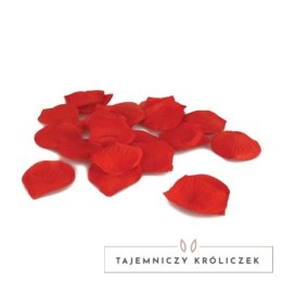 Shots Touche Dekoracyjne Płatki Roż Czerwone Opakowanie 100szt Touché by Shots
