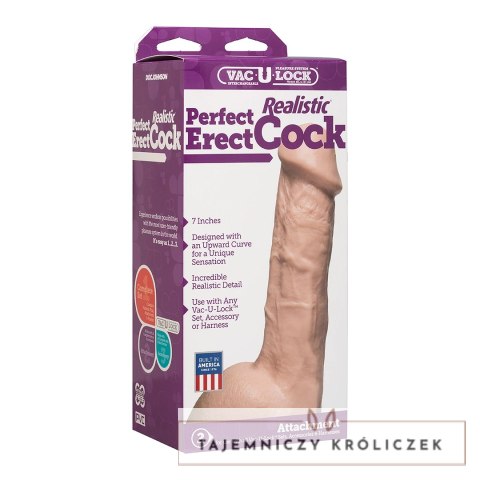 Doc Johnson 7 Perfect Erect Attachments anatomiczny model intymny 18 cm Doc Johnson