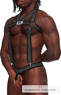 Male Power Elastic Harness - Uprząż z paskami i metalowymi elementami Male Power