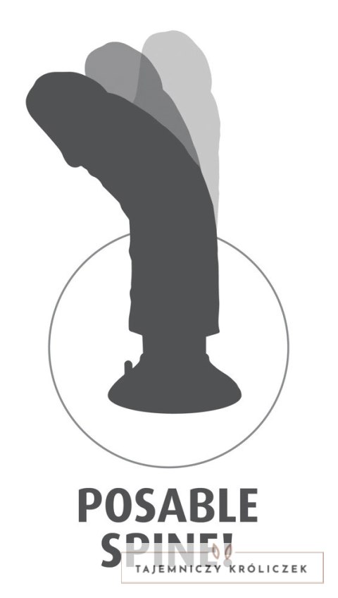 King Cock Wibrator Model 23 cm Czarny z Przyssawką i Jądrem King Cock