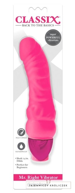 Pipedream Classix Model Rożowy - Intensywny System Wibracji 19 cm Classix