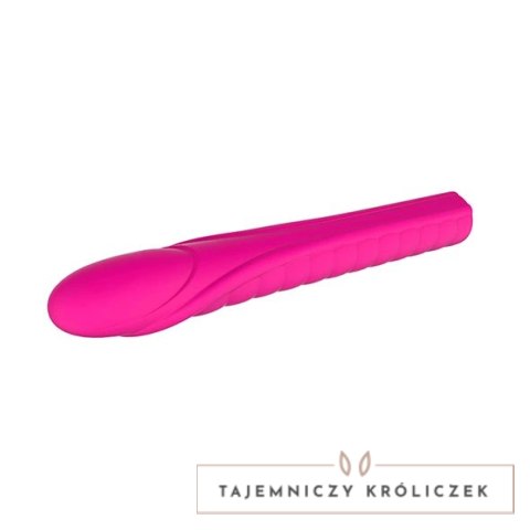 Nalone Dixie Pink - silikonowy model wibracyjny, 20 trybow, wodoodporny Nalone