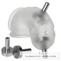 Oxballs Airlock Electro Air-Lite przezroczysta klatka intymna elektro Oxballs