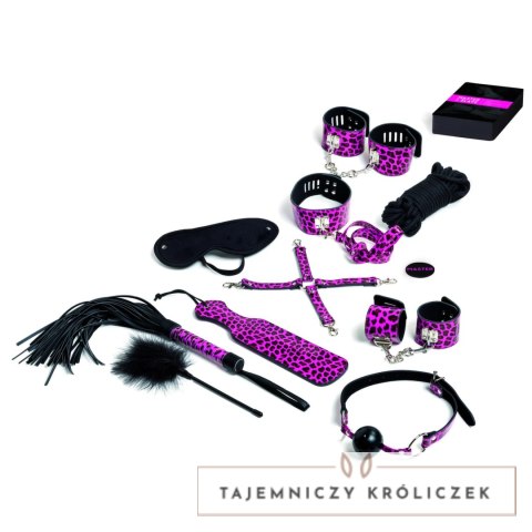 Bijoux Indiscrets Master & Slave Bondage Game Magenta - Zestaw z Akcesoriami Tease & Please