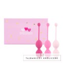 FeelzToys FemmeFit Advanced Set 3 szt. - zestaw kulek treningowych Kegla FeelzToys