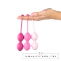 FeelzToys FemmeFit Advanced Set 3 szt. - zestaw kulek treningowych Kegla FeelzToys