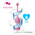 FeelzToys FemmeFit Advanced Set 3 szt. - zestaw kulek treningowych Kegla FeelzToys