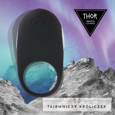 FeelzToys Thor Black - pierścień wibrujący, silikonowy, ładowany USB FeelzToys