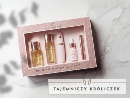 HighOnLove The Minis Pleasure Collection - zestaw pielęgnacyjny z olejkami i urządzeniem masującym HighOnLove