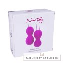 Nomi Tang IntiMate Kegel Set Plus Purple - zestaw do ćwiczeń mięśni dna miednicy Nomi Tang