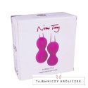 Nomi Tang IntiMate Kegel Set Plus Red Violet - zestaw do ćwiczeń mięśni Nomi Tang