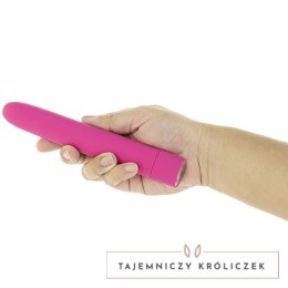 PowerBullet Eezy Pleezy Pink - kompaktowy model z 10 trybami pracy PowerBullet