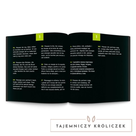Tease and Please Sex Roulette Foreplay - gra planszowa dla par, 24 wyzwania Tease & Please