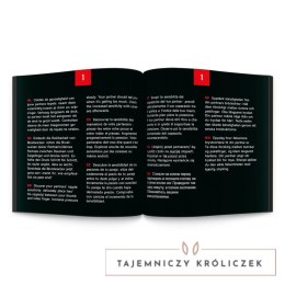 Tease and Please Sex Roulette Kinky gra planszowa wielojęzyczna Tease & Please