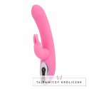 Vibe Therapy Tri Rabbit Pink - wielofunkcyjny model silikonowy, 3 silniki Vibe Therapy