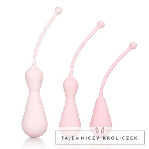 CalExotics Inspire Weighted Kegel Training Kit zestaw progresywny 3 szt. Inspire