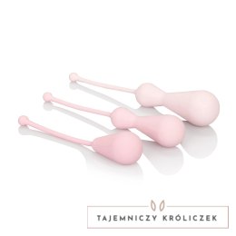CalExotics Inspire Weighted Kegel Training Kit zestaw progresywny 3 szt. Inspire