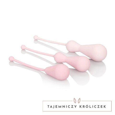 CalExotics Inspire Weighted Kegel Training Kit zestaw progresywny 3 szt. Inspire