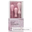 CalExotics Inspire Weighted Kegel Training Kit zestaw progresywny 3 szt. Inspire