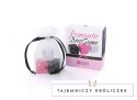 LoversPremium Dice Game Romantic - Zestaw Kości do Gry, 3 sztuki LoversPremium
