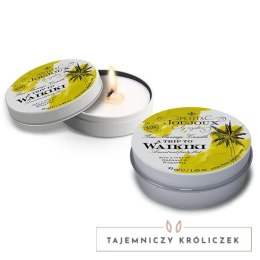 Petits Joujoux Waikiki Świeca do masażu kokos i ananas 33g Petits Joujoux