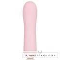 CalExotics Inspire Gyrating Wand masażer silikonowy 10 trybow USB Inspire