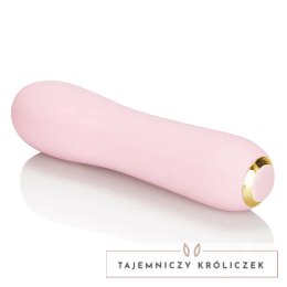 CalExotics Inspire Gyrating Wand masażer silikonowy 10 trybow USB Inspire
