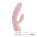 FeelzToys Lea Soft Pink - Model dwusilnikowy, silikon medyczny, wodoodporny FeelzToys