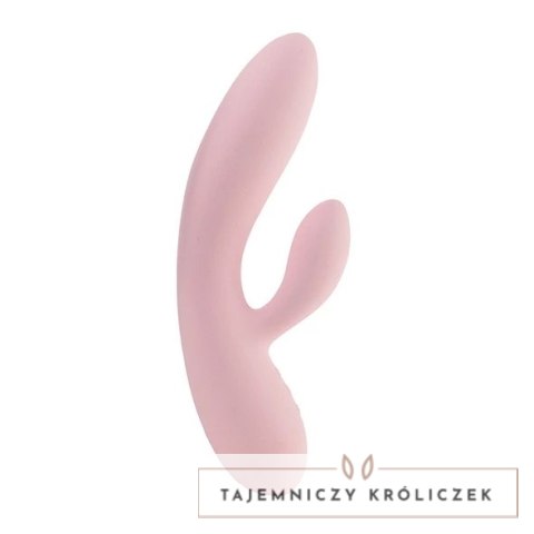 FeelzToys Lea Soft Pink - Model dwusilnikowy, silikon medyczny, wodoodporny FeelzToys