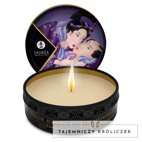 Shunga Libido Exotic Fruits świeca do masażu 30 ml naturalny olejek Shunga
