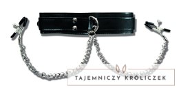 Sportsheets Collar model 4452 z regulowanymi klipsami i łańcuszkami 27 cm Sportsheets
