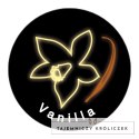 Voulez-Vous Light Gloss Waniliowy Błyszczyk do Ust Efekt Chłodno-Gorąco 9ml Voulez-Vous...