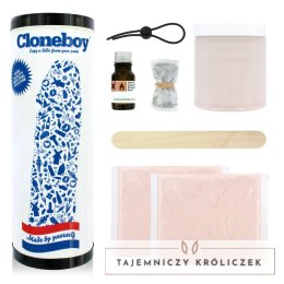 Cloneboy Zestaw Delftware do tworzenia anatomicznej repliki - silikon Cloneboy