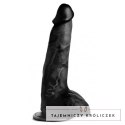XR Brands Beefy 23 cm - model z jądrami, mocna przyssawka, PVC XR Brands