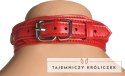 Vixen Pas piersiowy damski z eko-skory, czerwony, regulowany XR Brands