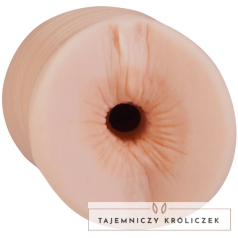 Doc Johnson Bobbi Starr model z systemem ULTRASKYN, anatomiczny kształt Doc Johnson