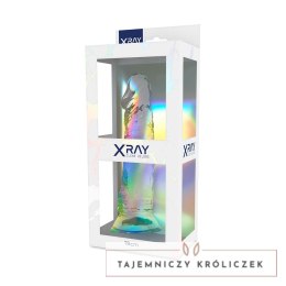 XRAY X Ray Clear model 19 cm - przezroczysty, elastyczny, przyssawka X RAY