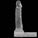 XRAY X Ray Clear model 19 cm - przezroczysty, elastyczny, przyssawka X RAY