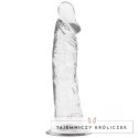XRAY X Ray Clear model 19 cm - przezroczysty, elastyczny, przyssawka X RAY