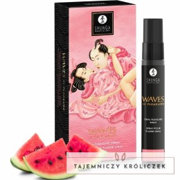 Shunga Waves Spray do Ust Arbuzowy 20ml - Odświeżający Aromatyczny Preparat SHUNGA APHRODISIACS