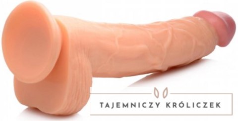XR Brands Hung Harry model z jądrami 30 cm, przyssawka, jasny PVC XR Brands