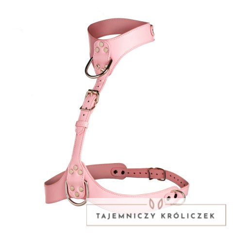 Vixen Harness dla kobiet Vegan Leather Rożowy regulowany XR Brands