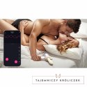 Lovense Spinel 3-w-1 wielofunkcyjne urządzenie z funkcją aplikacji i podgrzewaniem Lovense