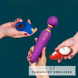 ROMP Pleasure Kit Zestaw 3w1 - Zestaw Masażerow z Pokrowcem ROMP