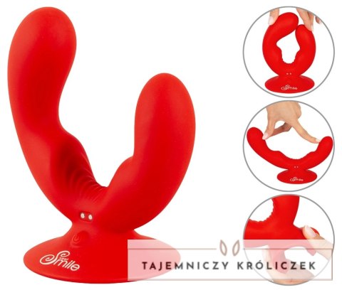 Sweet Smile Dual Vibrator silikonowy podwojny z przyssawką USB Sweet Smile
