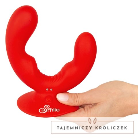 Sweet Smile Dual Vibrator silikonowy podwojny z przyssawką USB Sweet Smile
